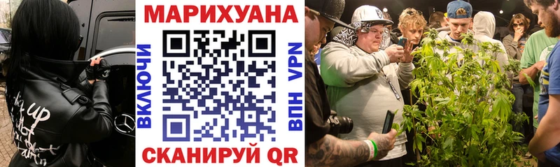 Конопля MAZAR  Купить где  Новокузнецк 